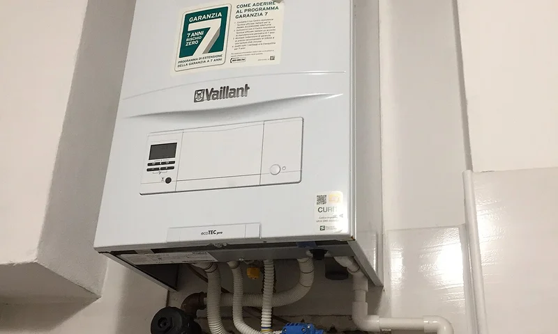 Wall-mounted home gas boiler for hydronic heating